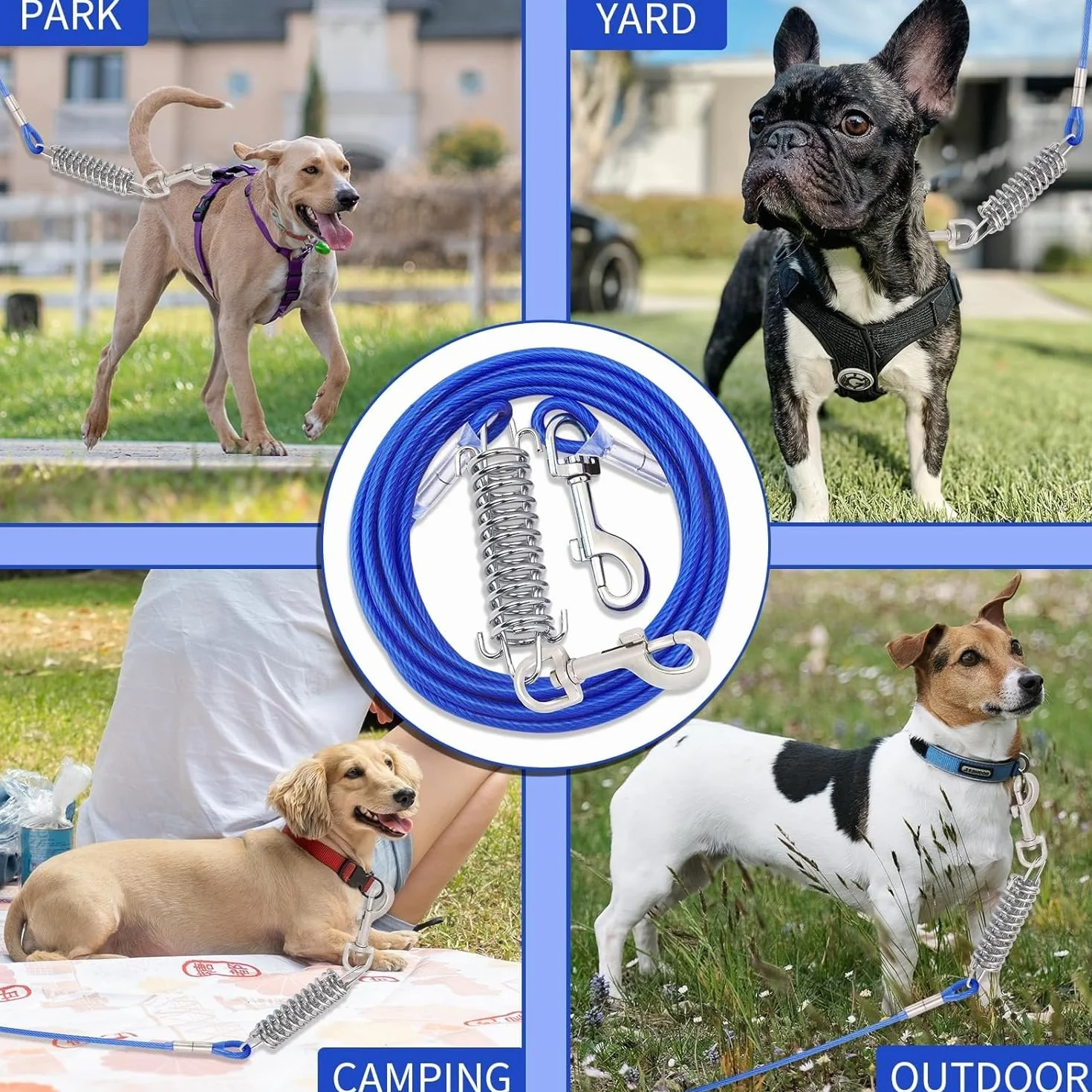 Chaine Chien Acier Inoxydable 3m Câble d'attache pour Chiens Laisse Résistante à Morsure avec Amortisseur Bleu