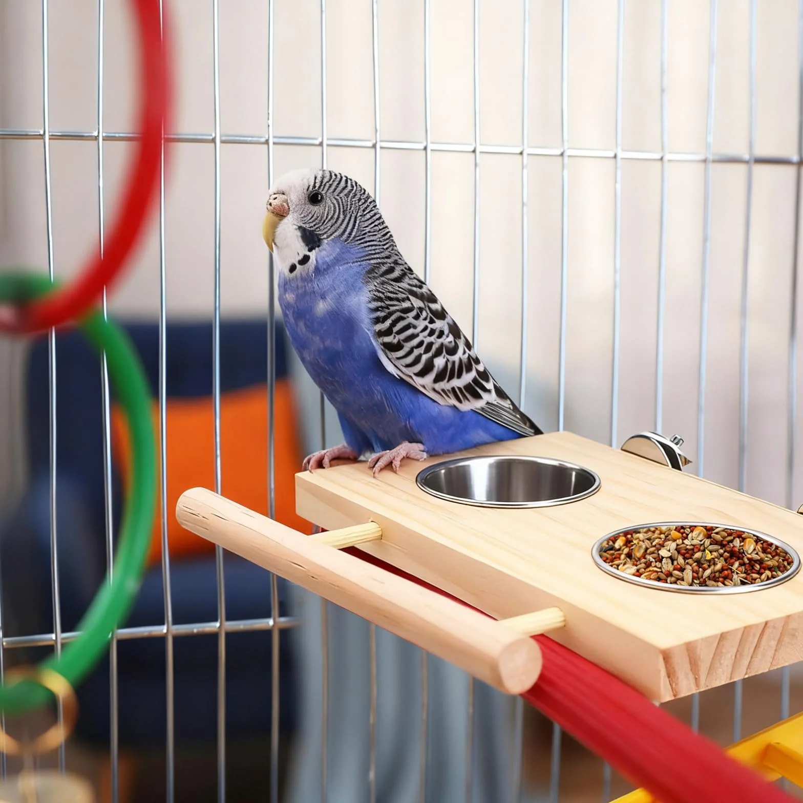 Lot de 2 gamelles pour oiseaux en acier inoxydable avec perchoir en bois, perruches, calopsittes