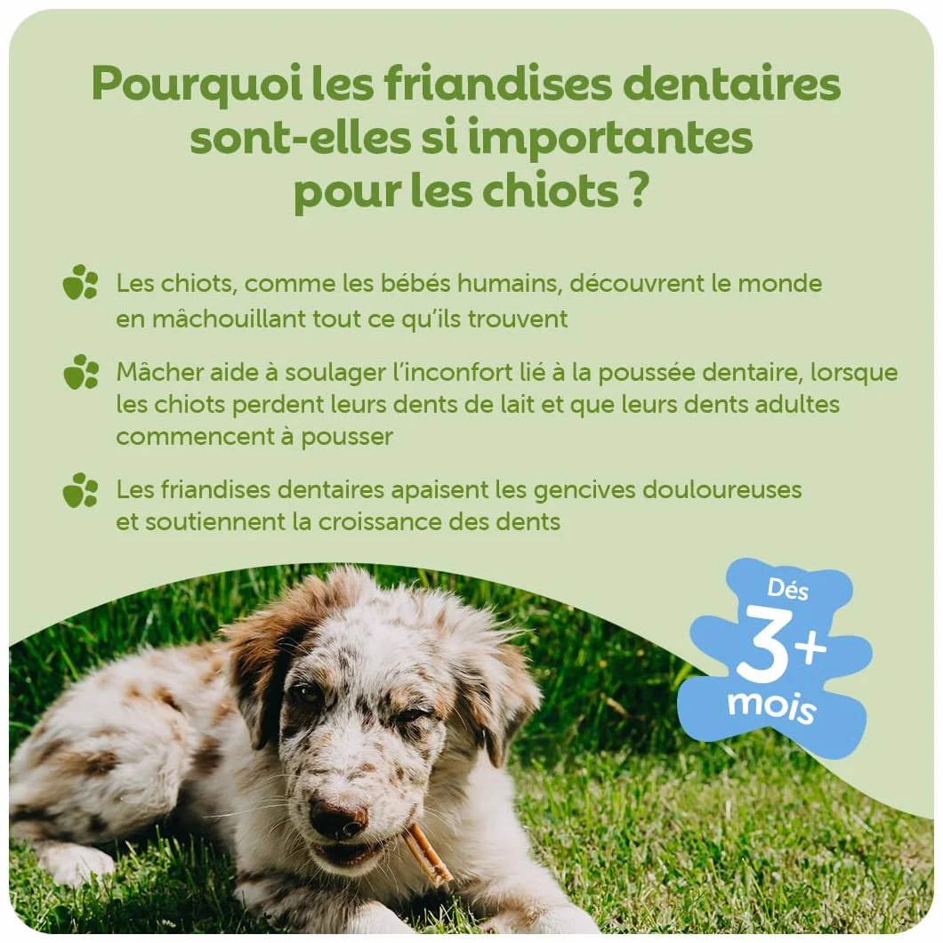 WHIMZEES Bâtonnets pour Chiots XS/S 28 Pièces Friandises Naturelles sans Céréale Végétariennes