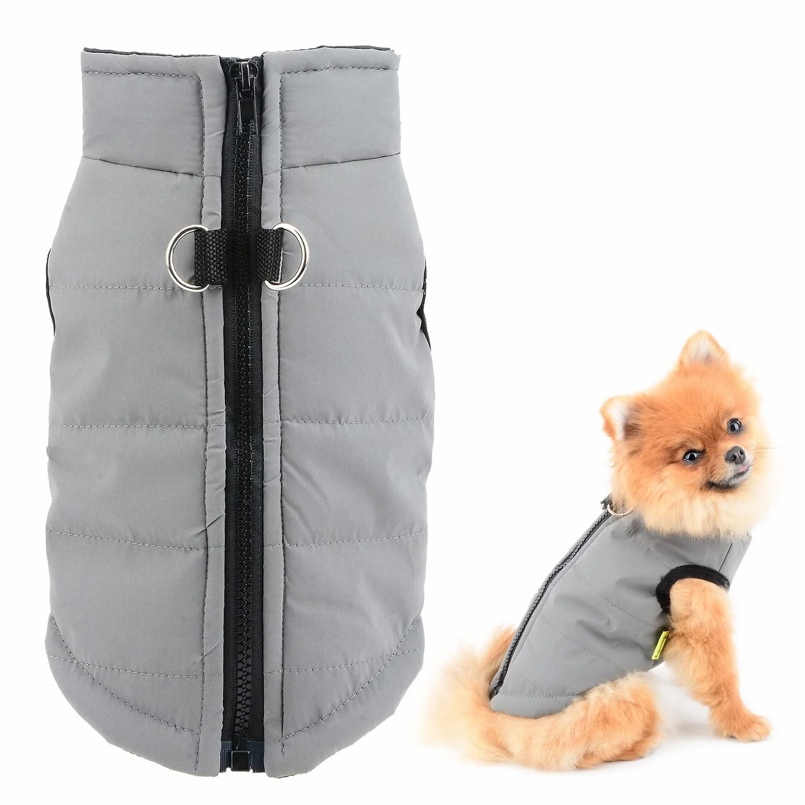 Veste d'hiver imperméable pour chien avec anneaux en D, manteau matelassé taille S gris
