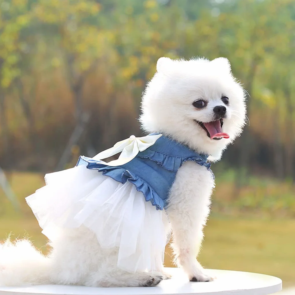 XIAOYU Chien Robe Animal de Compagnie Bowknot Princesse Jupe été Denim Gilet Chemises Douce Soirée Mariage vêtements Blanc XXL