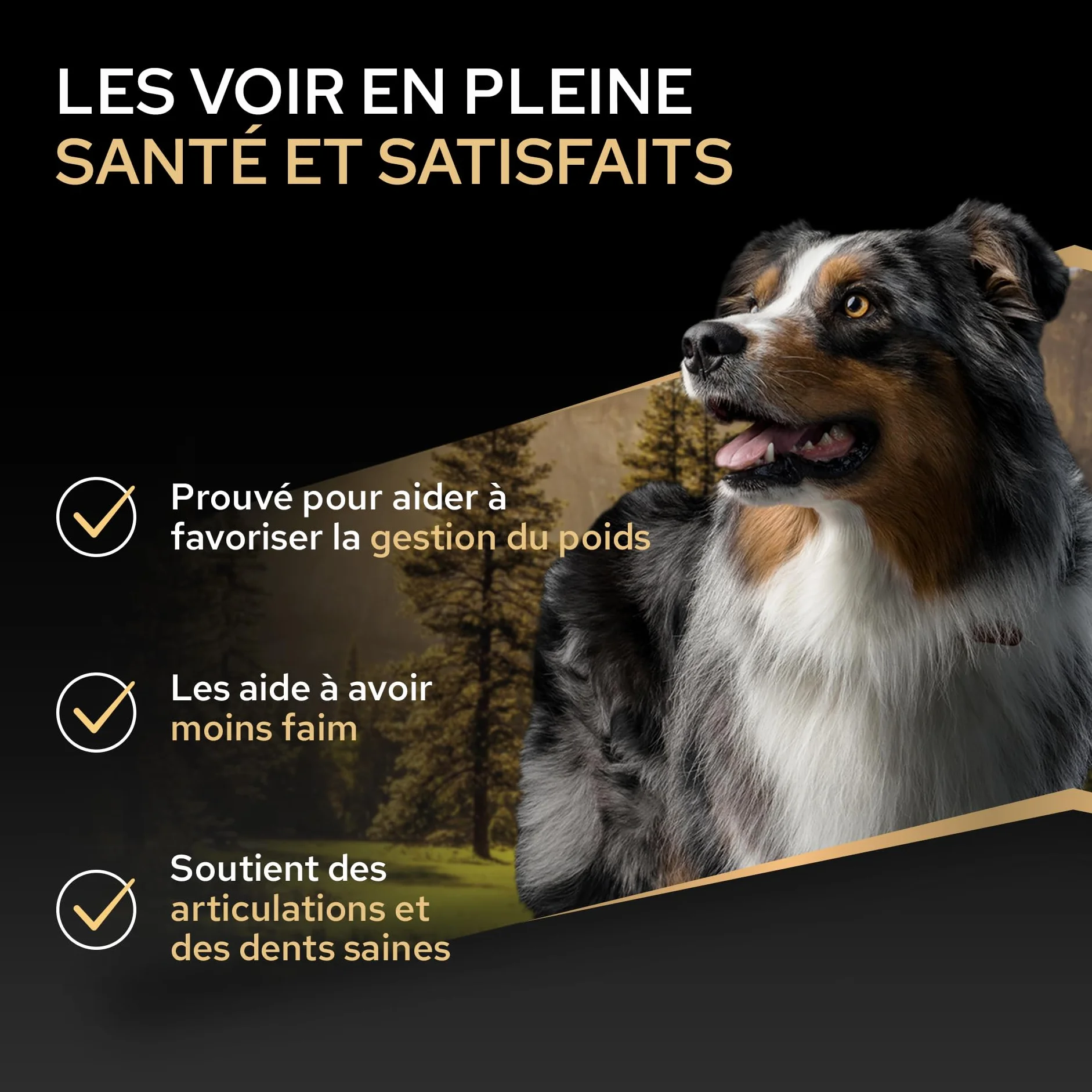 Purina PRO PLAN Adulte Toutes Tailles Light Stérilisé Aliment Sec pour Chien Gestion du Poids Riche en Protéines Faible en Matières Grasses Poulet 3kg