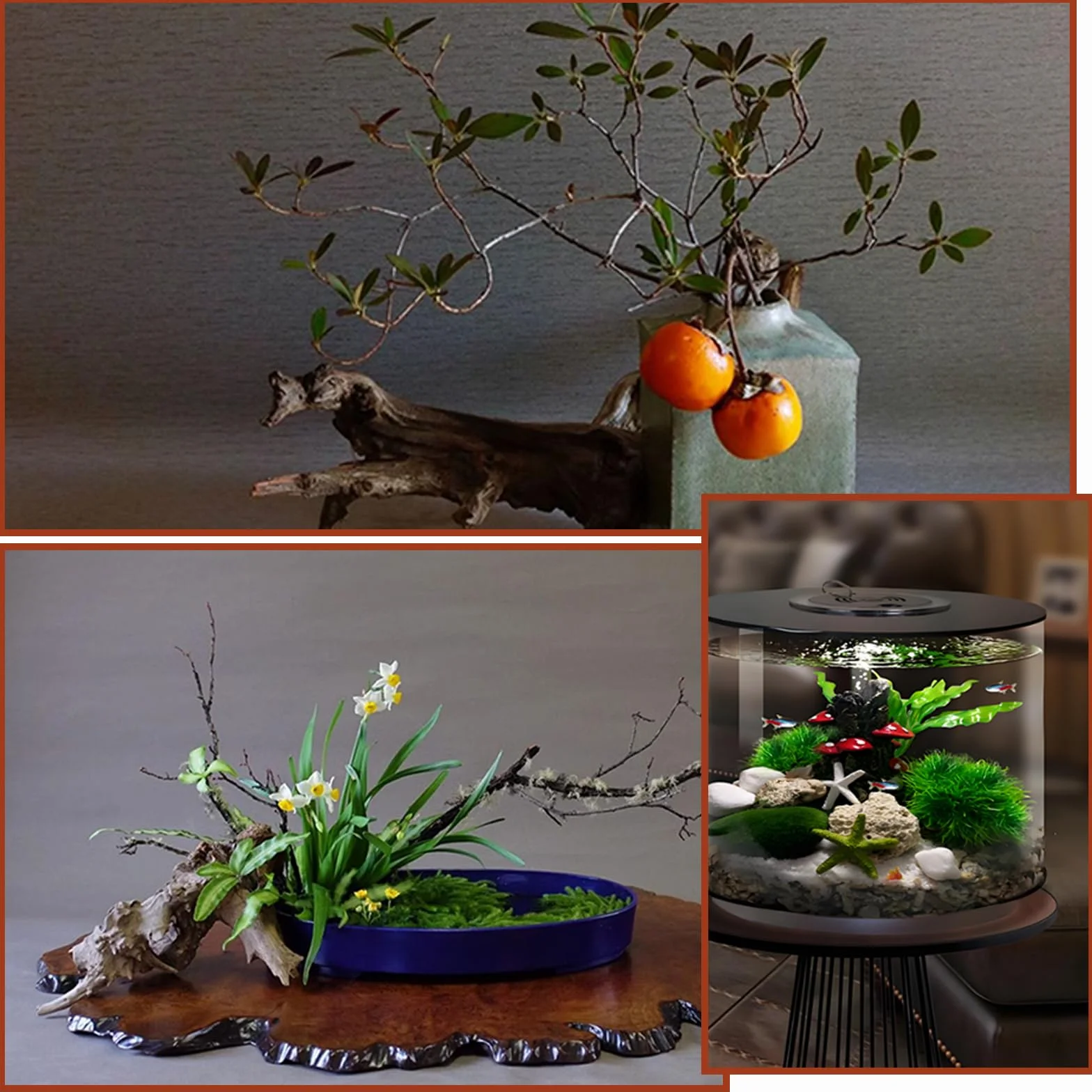 Aquarium Décoration Bois Flotté Branche Décorative Racine Flottant 4 Pièces