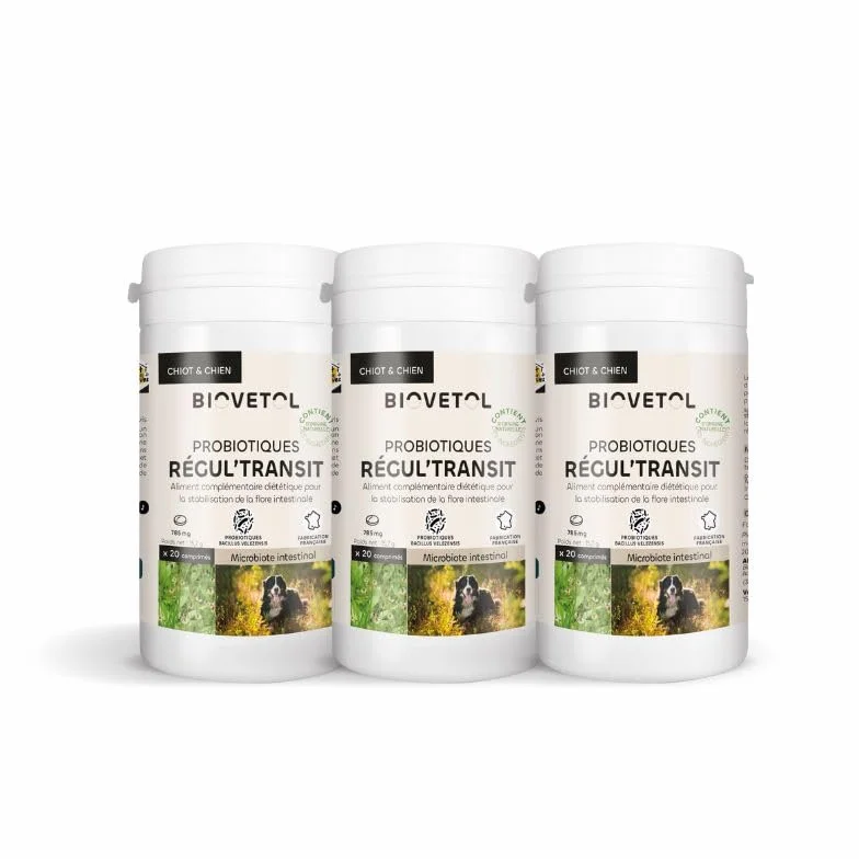 Biovetol Probiotique Comprimés Regul'Transit Complément Alimentaire Spécial Transit Chien Lot de 3