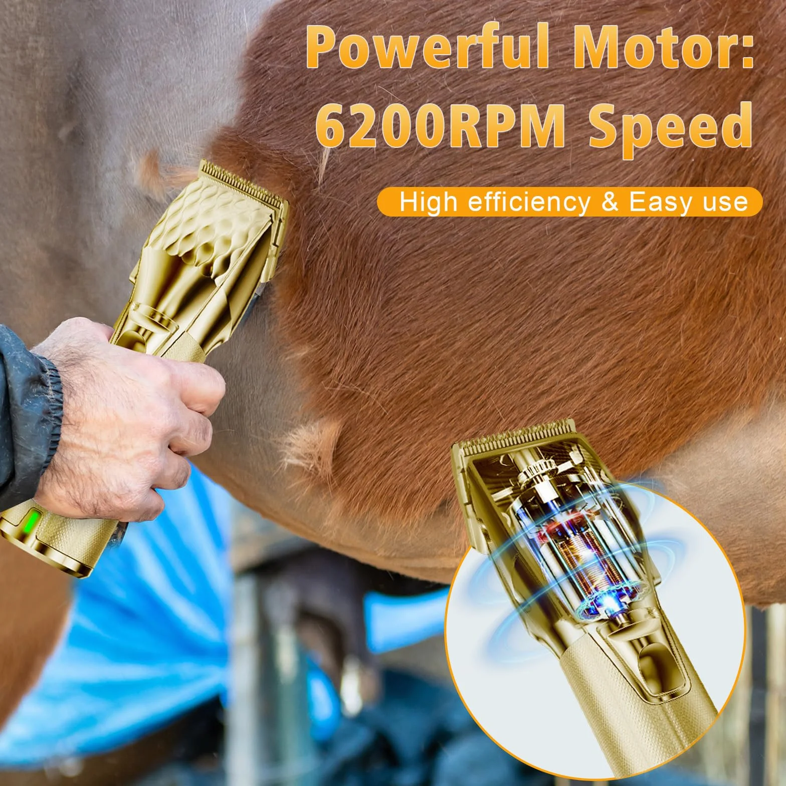 Tondeuse Sans Fil pour Chevaux Professionnelle, Moteur Puissant 6200RPM, Poids Léger 400g