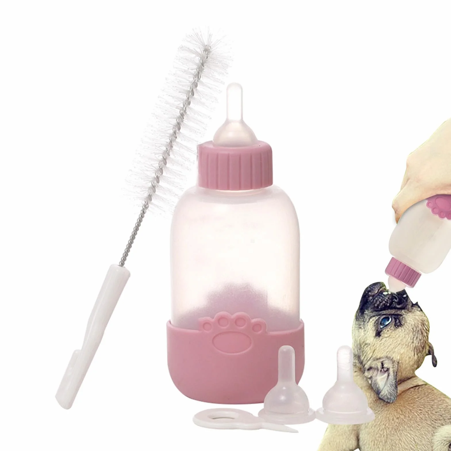 Biberon d'alimentation pour chaton 100 ml - Mangeoire à lait avec tétine et brosse