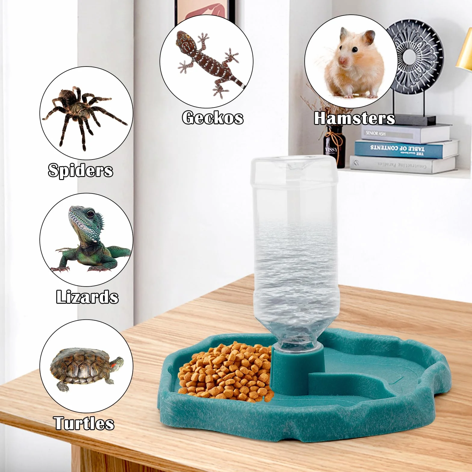 DAWRIS Distributeur d'eau pour Reptile 2 en 1 Abreuvoir Tortue Bols