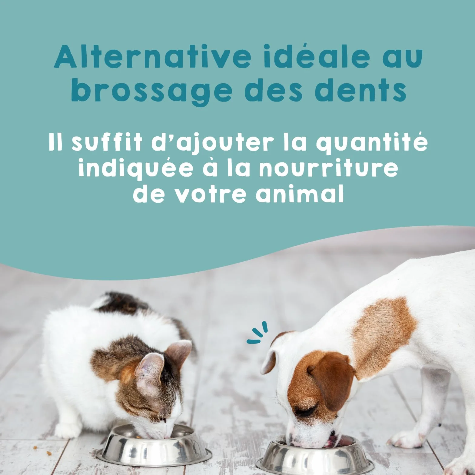 MAIKAI Poudre Anti-Tartre et Mauvaise Haleine pour Chien et Chat 150g – Complément Dentaire Naturel pour Santé Buccale