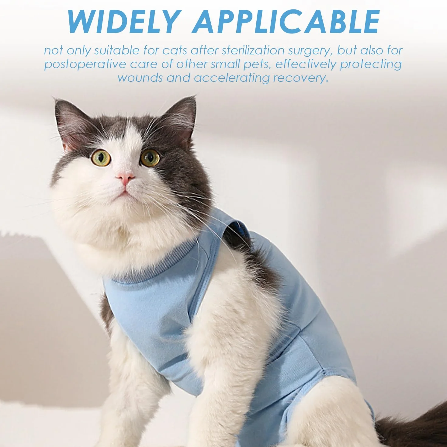 Lot De 2 Vêtements De Stérilisation pour Chat, Combinaison Postopératoire pour Plaies Abdominales