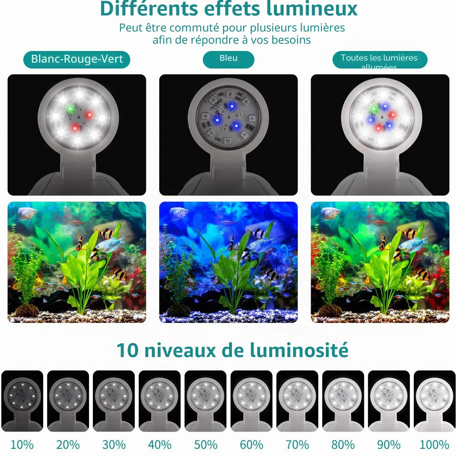 Veilleuse Zingbabu pour aquarium, lumière à spectre complet, filtre, blanc