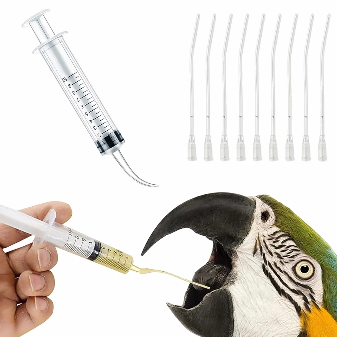 Seringues alimentaires pour oisillons avec tubes d'alimentation, récipient à nourriture, outil de nourrissage manuel