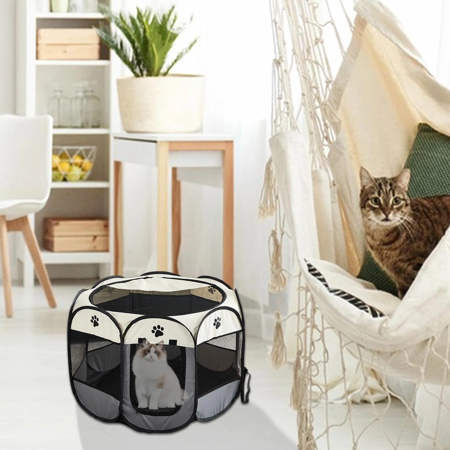 Parc pour chat d'extérieur pliable Tissu Oxford fermeture éclair enclos jeu amovible cage respirante fond imperméable