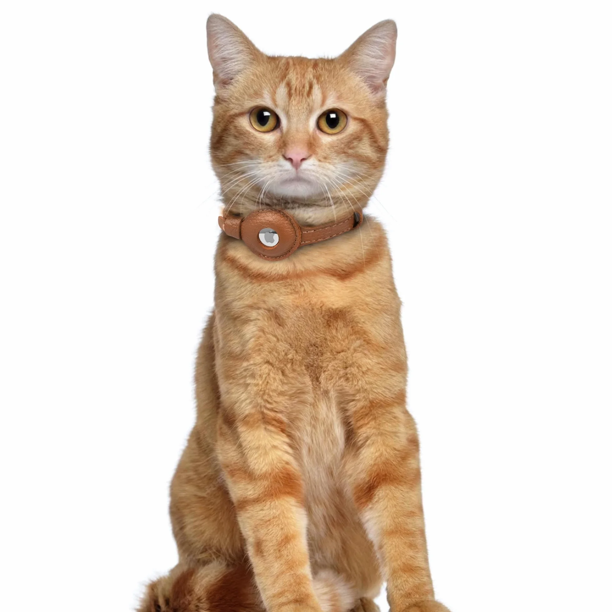 OOPSDOGGY Collier AirTag en Cuir pour Chat avec Clochette – Anti-Rupture Support Apple Air Tag GPS Léger (Brun)