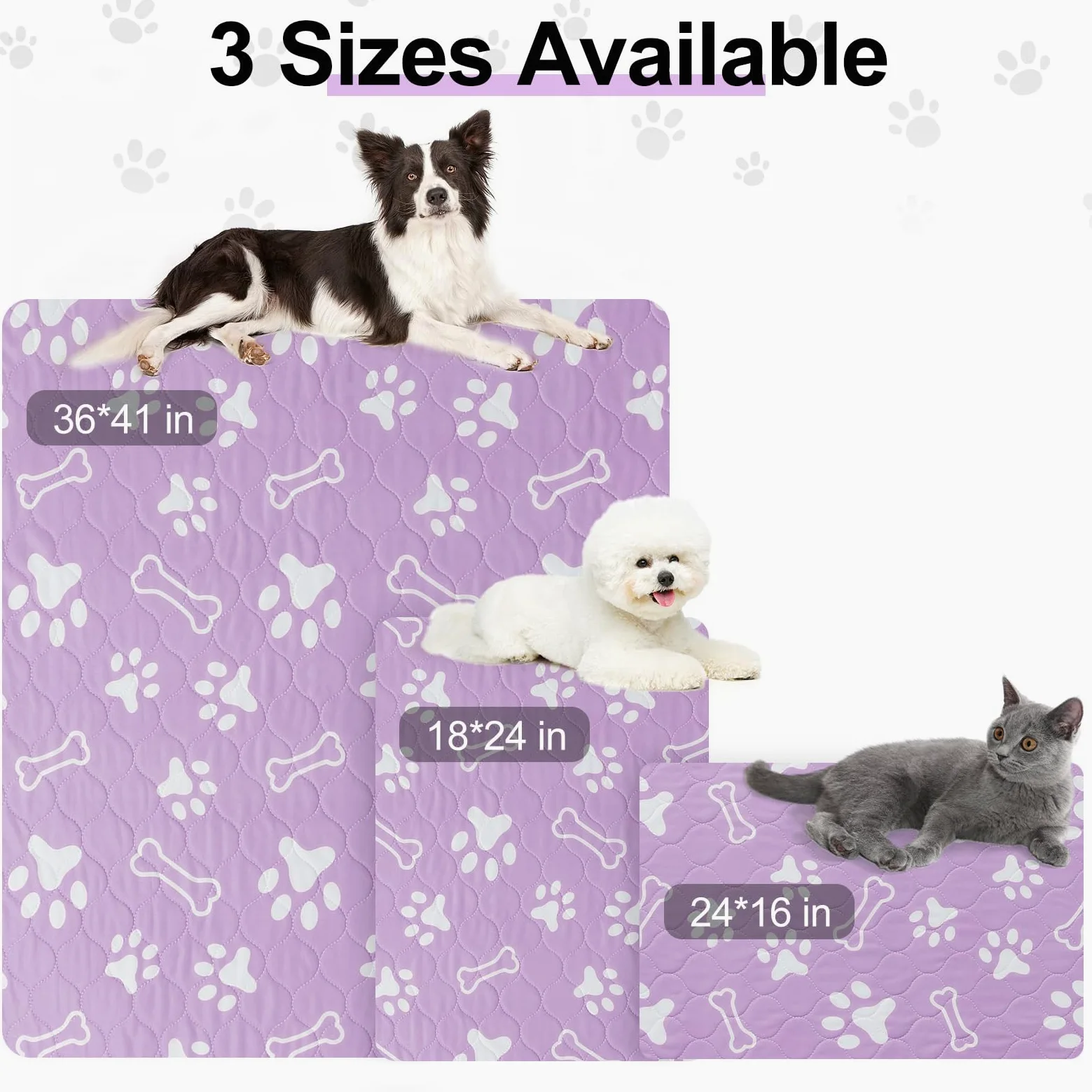 BEAUTYZOO Lot de 6 alèses hygiéniques lavables pour chiens - 40,6 x 61 cm - Réutilisables - Super absorbants pour le dressage des animaux de compagnie, les incontinence et l'incontinence - Violet
