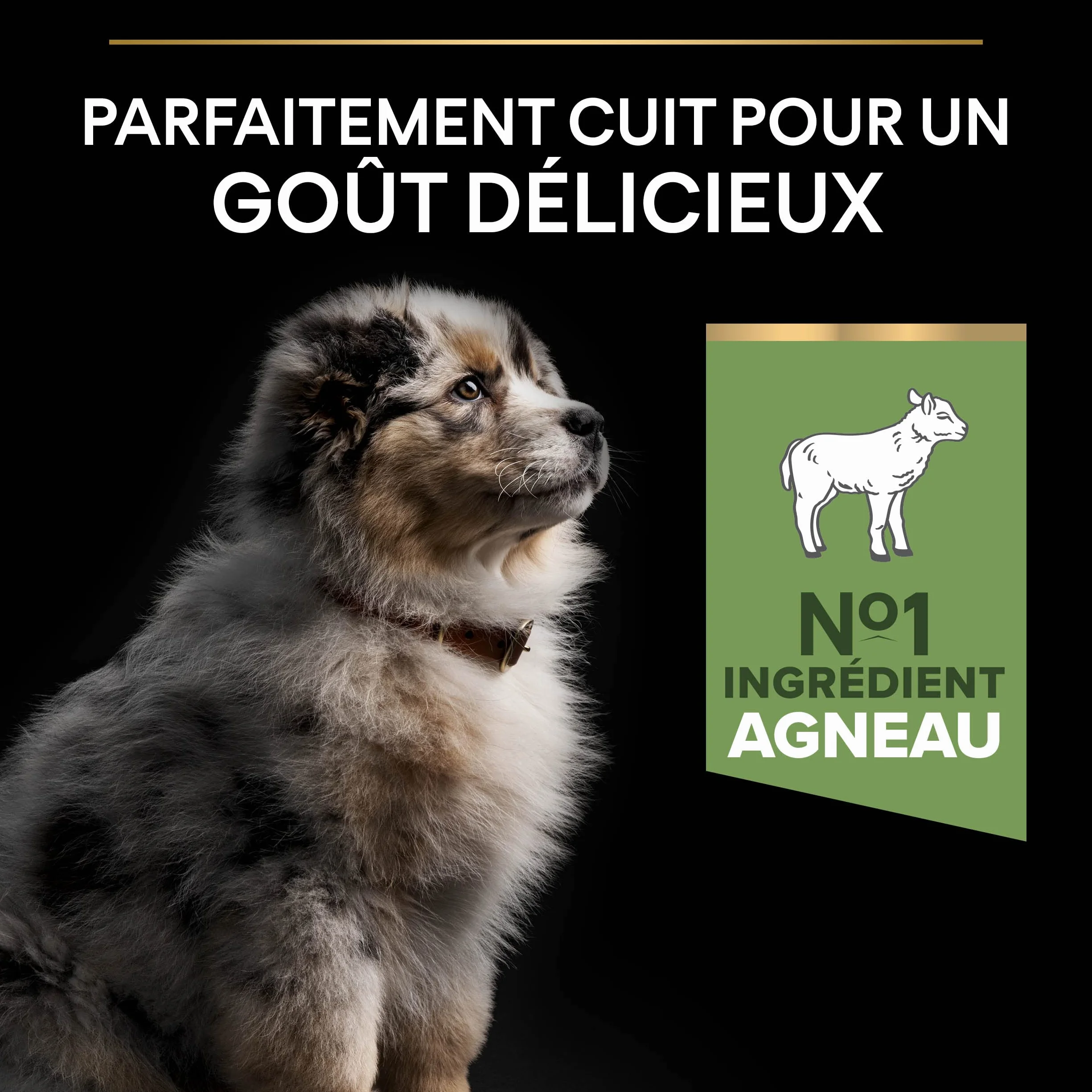 PURINA PRO PLAN Croquettes chiot moyenne taille Sensitive Digestion Agneau 3 kg