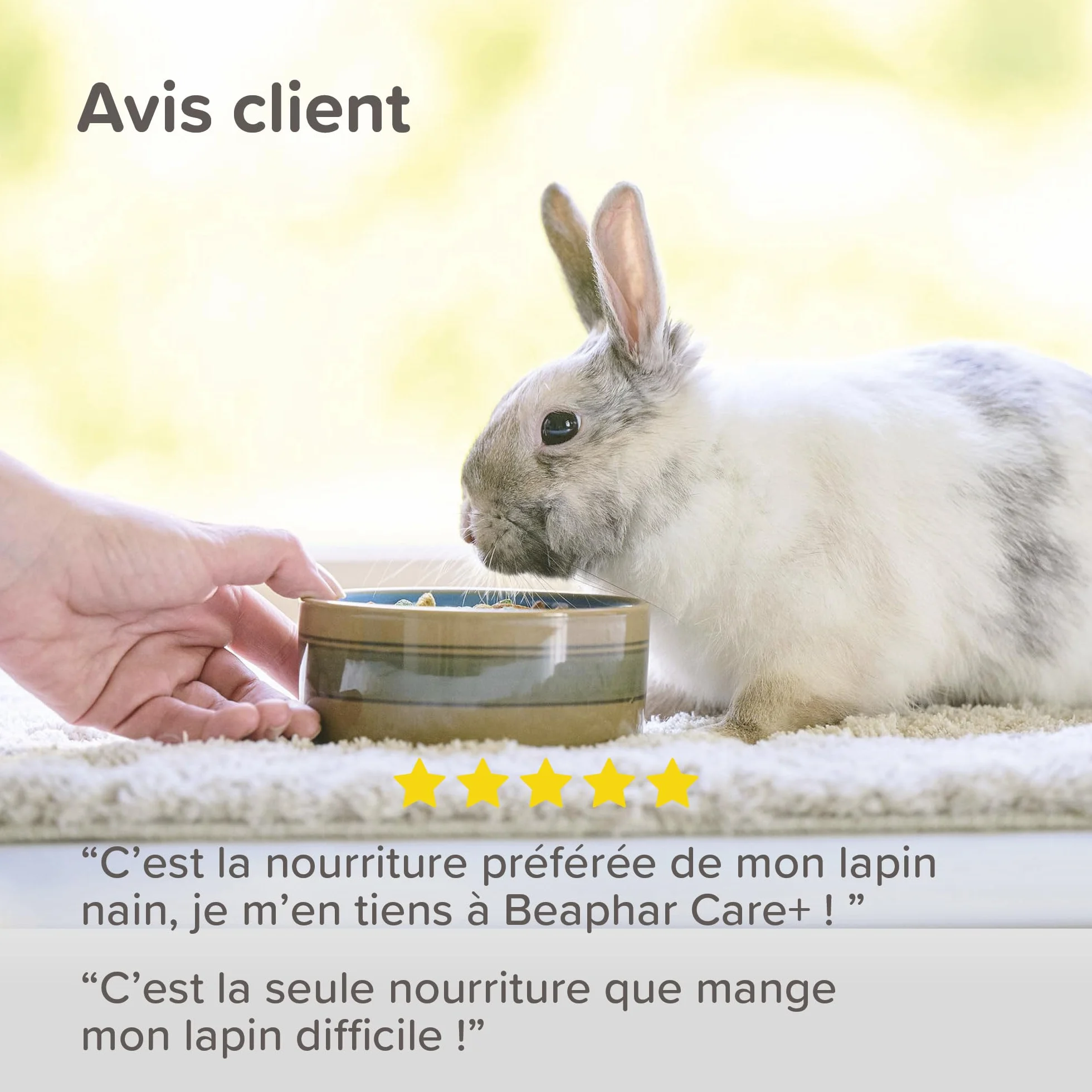 BEAPHAR Care+ Alimentation Super Premium extrudée pour Lapin 25% Fibres 1,5 kg