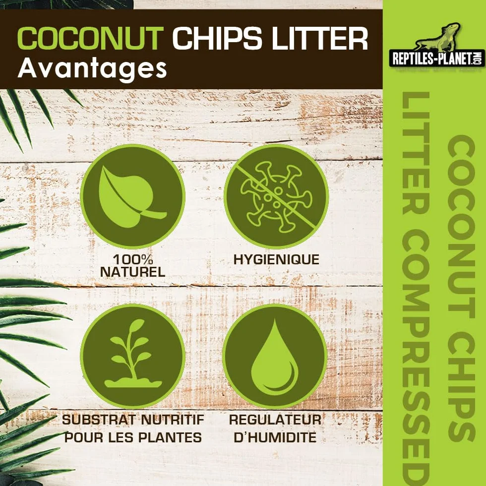 Reptiles Planet Coconut Chips Litter Substrat de Coco pour Terrarium 4,5 kg