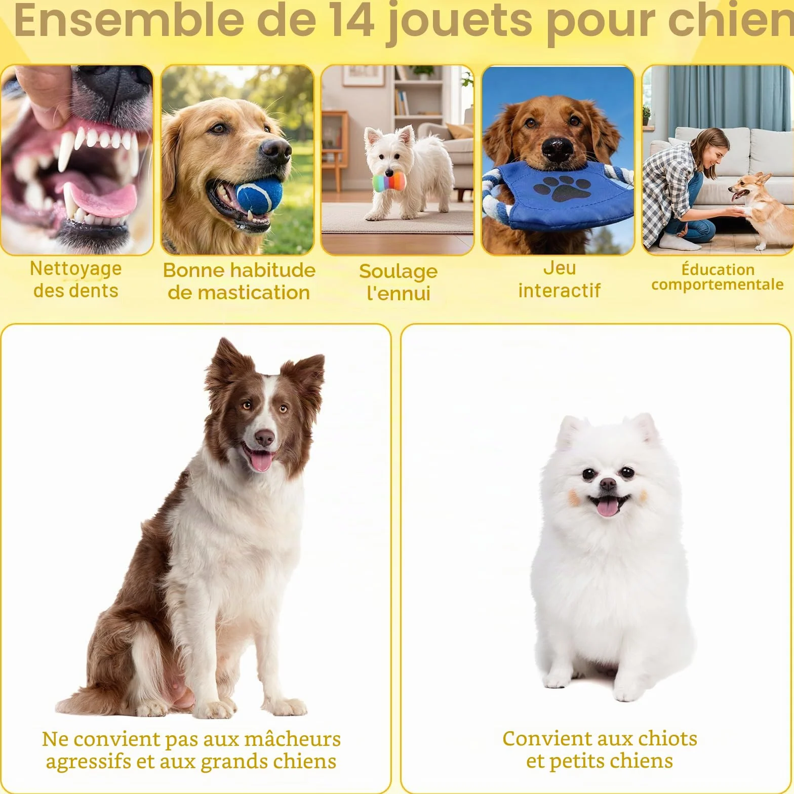 Lot de Jouets pour Chiot 14 Pièces Jouets pour Chiens de Petite Taille Interactif Jouet Corde en Coton avec Boîte de Rangement