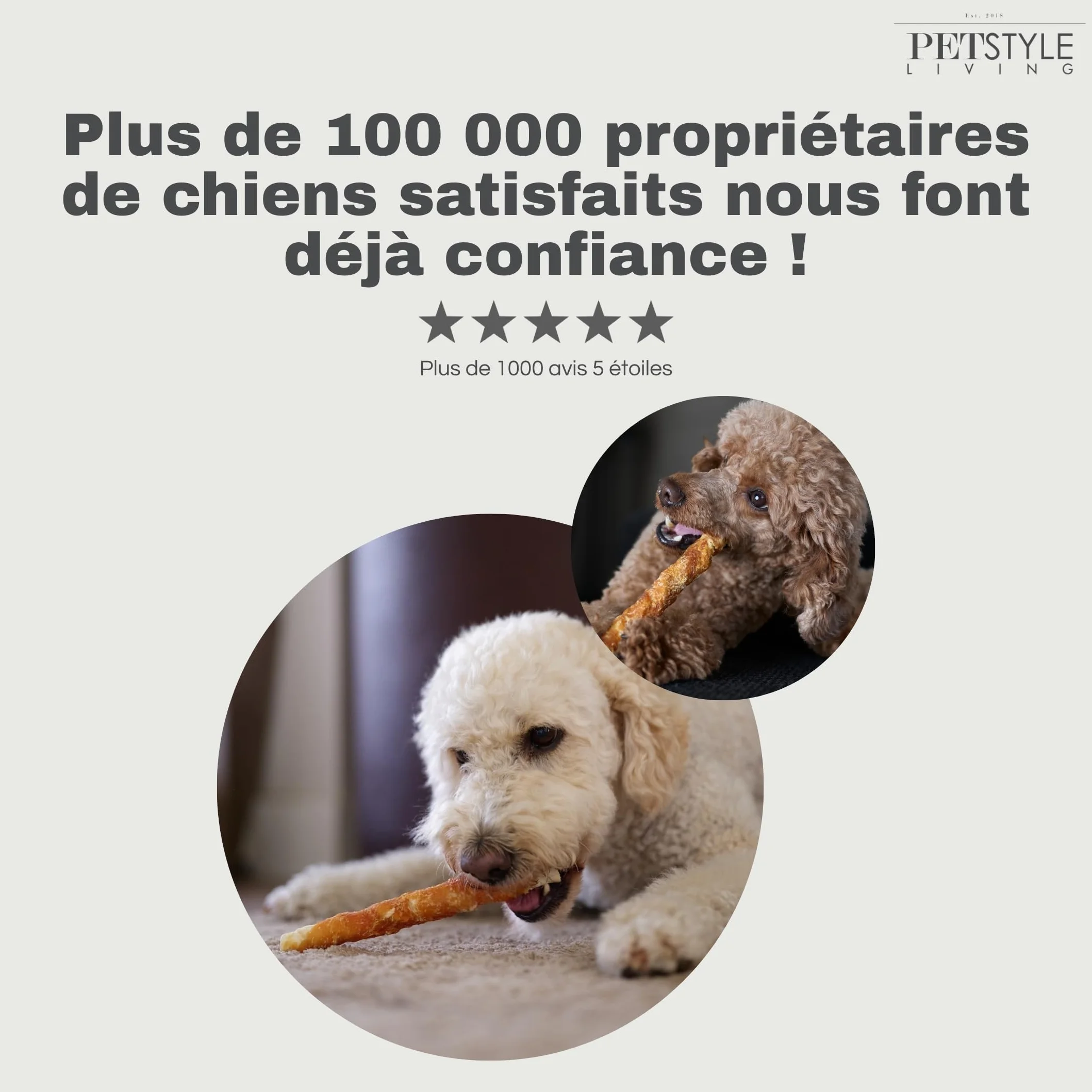 Bâton à Mâcher au Poulet et Bœuf 20cm 20 Pièces - Collation pour Chien