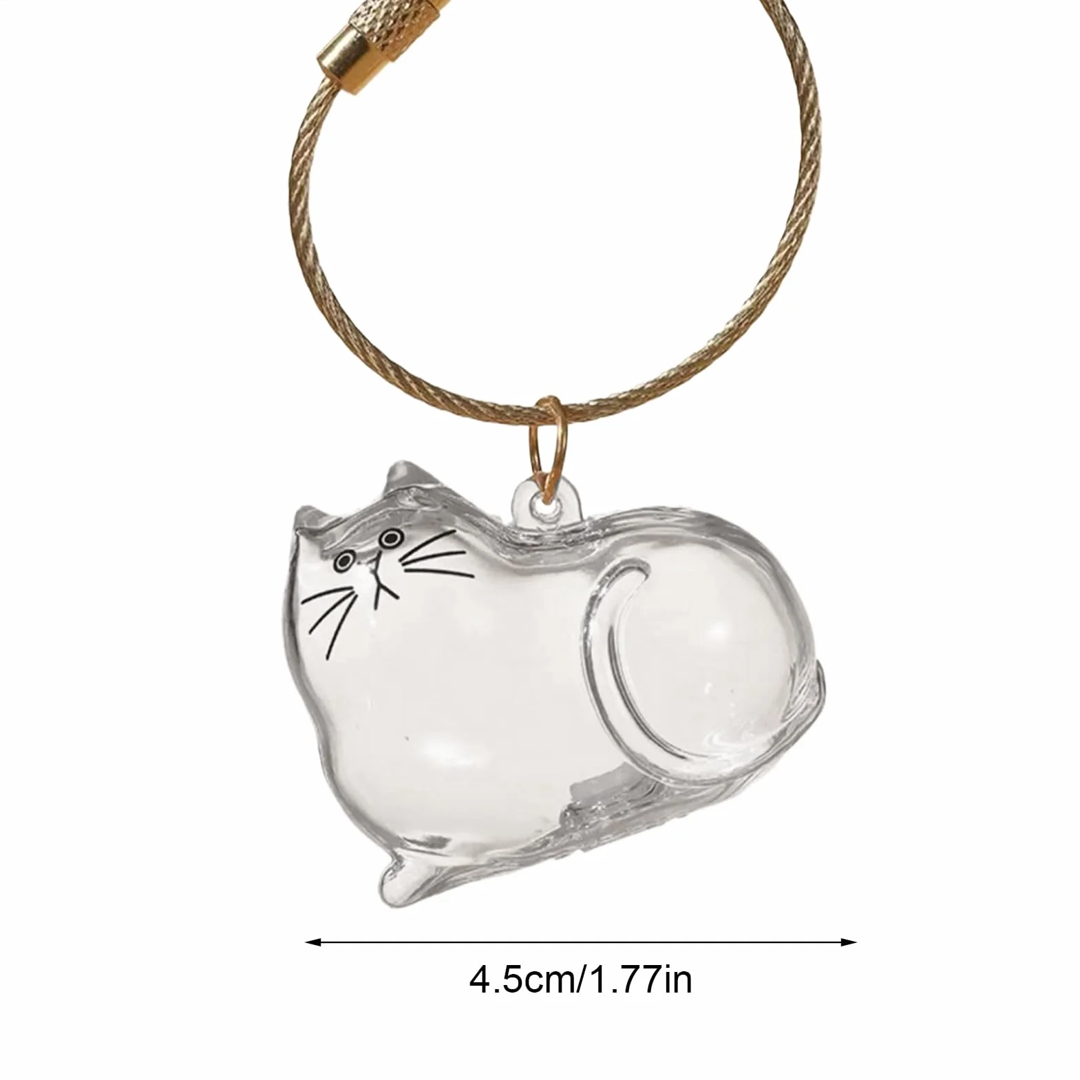 Porte-clés C-apsule Commémorative en Poils de Chat, Boîte Mémoriale pour Poils d'Animaux, Contenant Transparent Portatif
