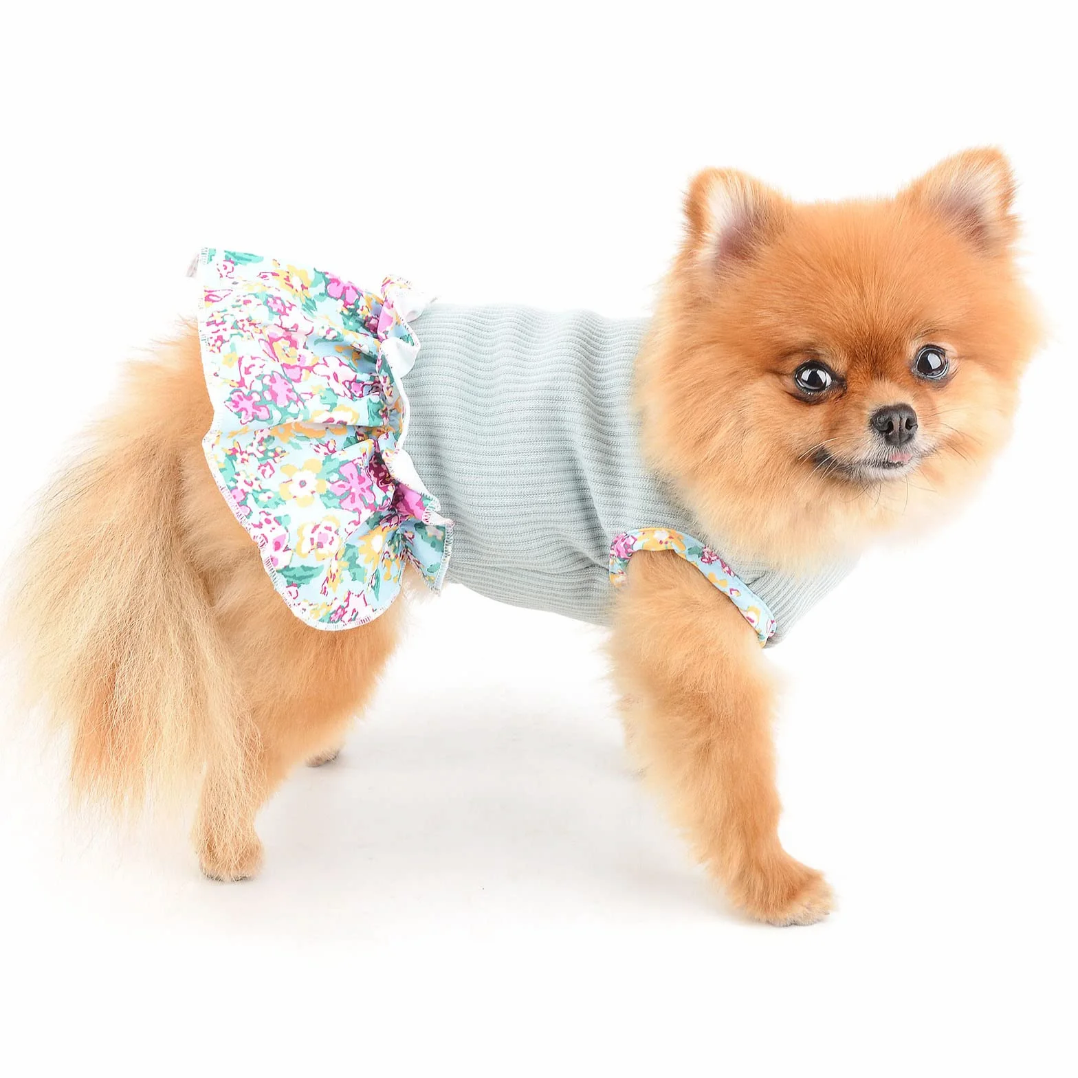 PAIDEFUL Robe Chien Coton Doux Respirant Gilet Jupe Volants Chiot Chihuahua Yorkie Vêtements Printemps Été Vert XS