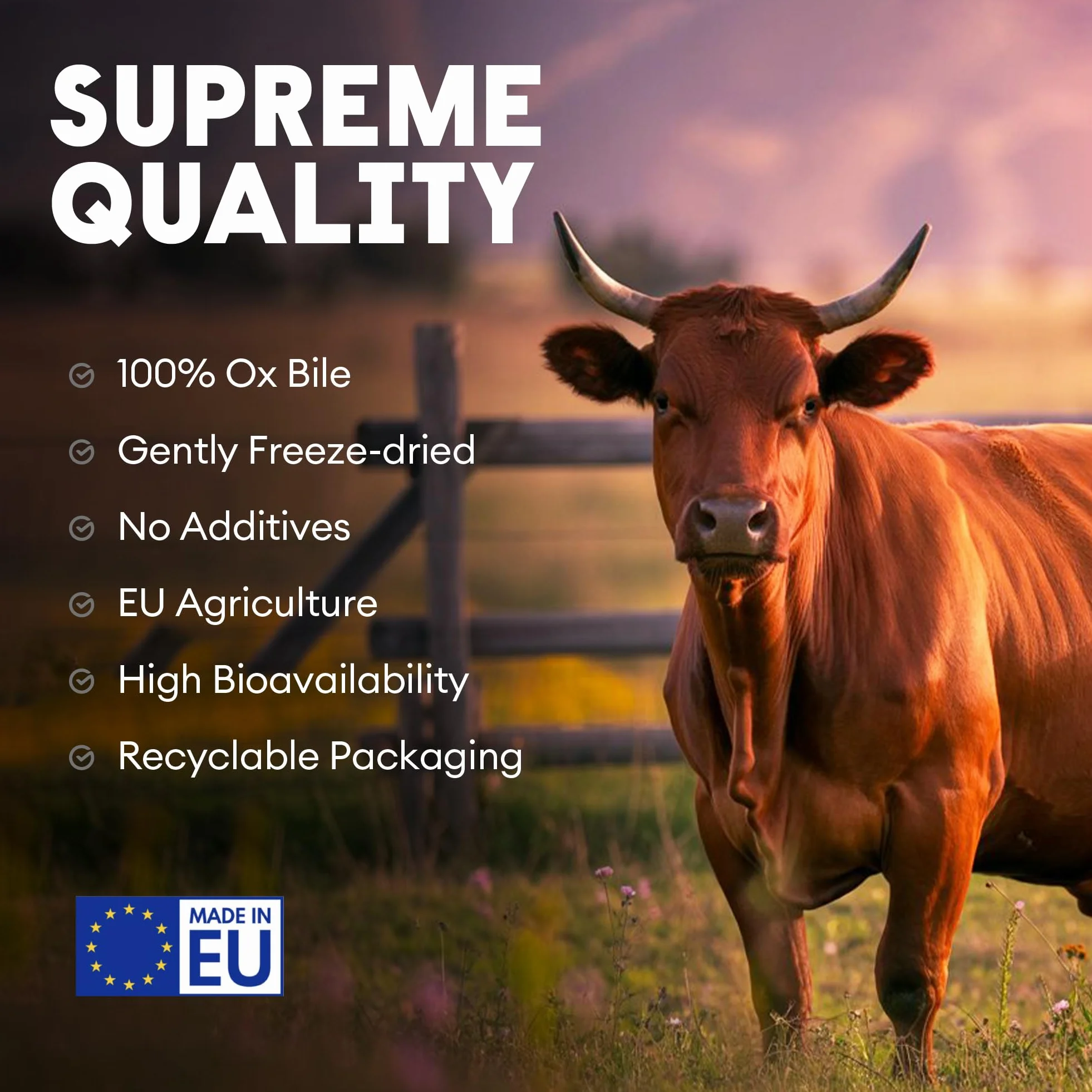 Nutriest Complément de Bile de Bœuf 500 mg 60 Capsules – Sels de Bile Digestif Naturel Métabolisme des Graisses