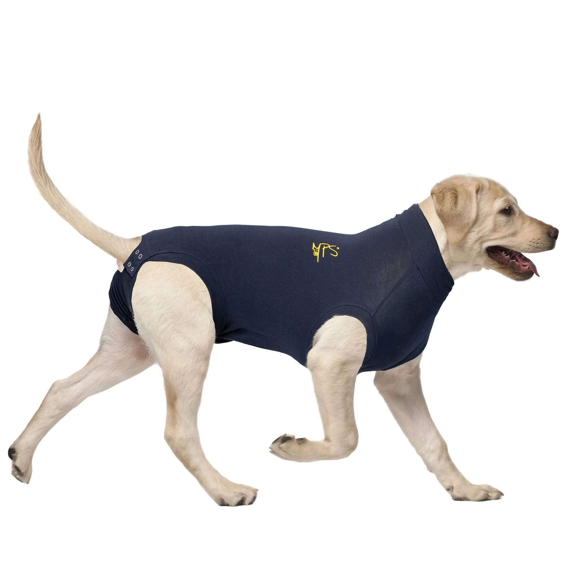 MPS Medical Pet Shirt pour Chiens M Bleu
