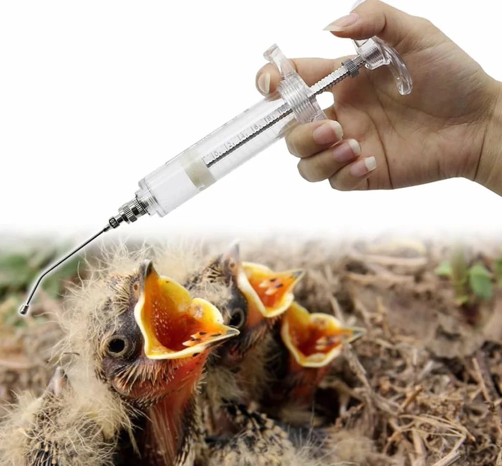 Seringue 50 ml avec 6 tubes de récolte pour bébé oiseau, perroquet, alimentation manuelle