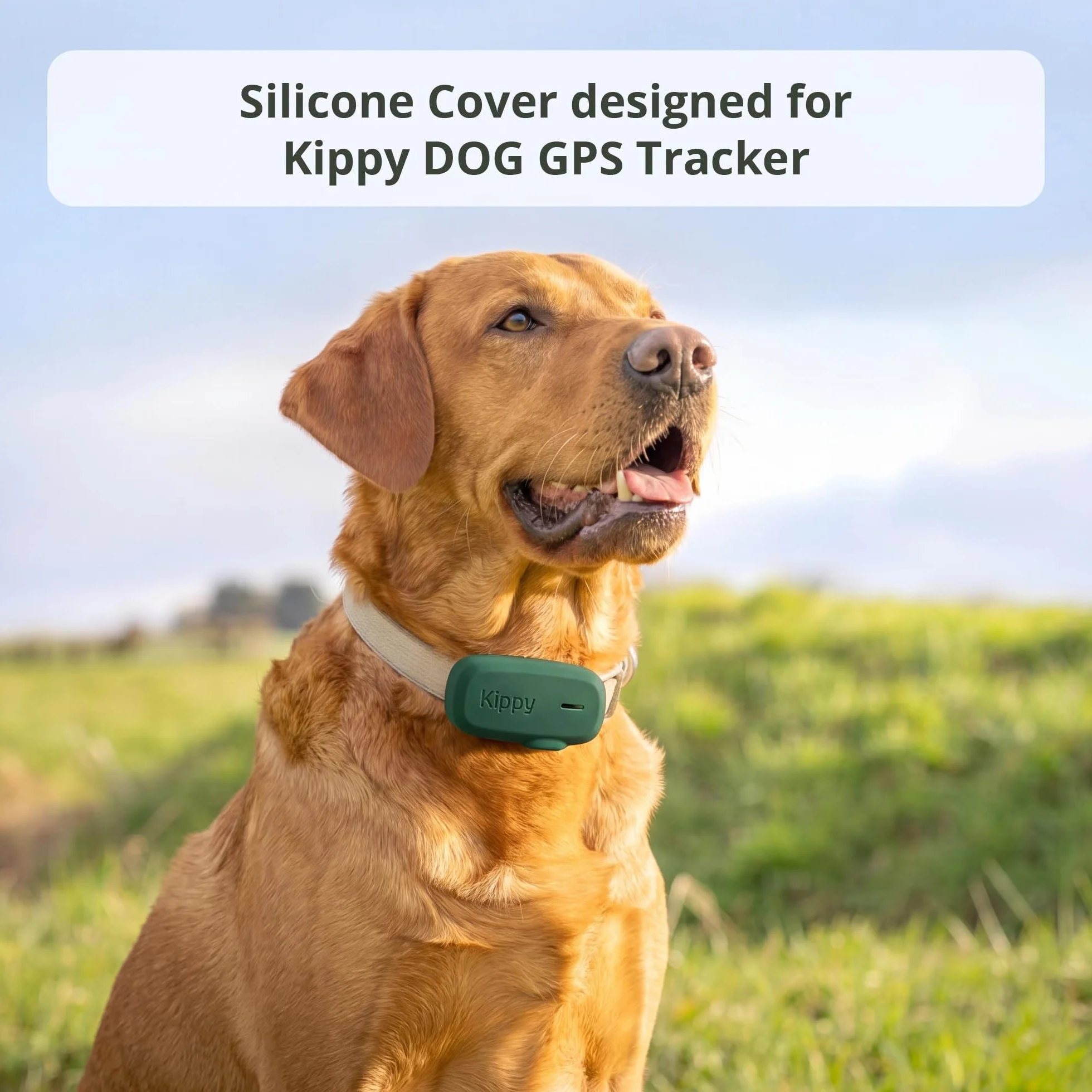 Kippy Dog Silicon Cover Green