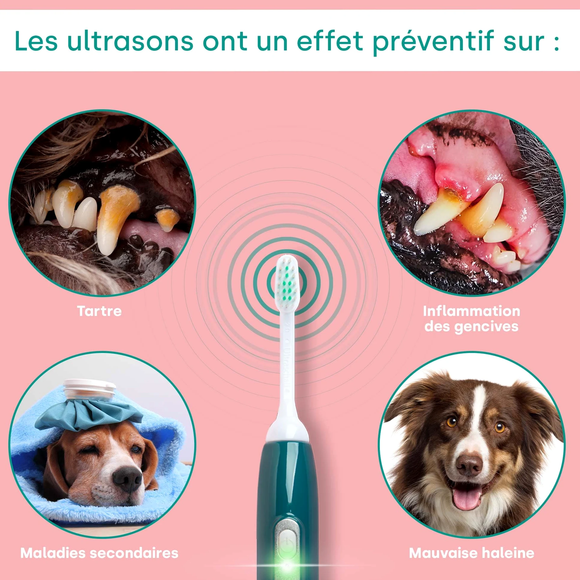 emmi-pet PRO Brosse à dents ultrasonique pour chiens - Brosse à dents silencieuse pour chiens et chats sans frottement avec 96 millions de vibrations - Prévient le tartre et les inflammations