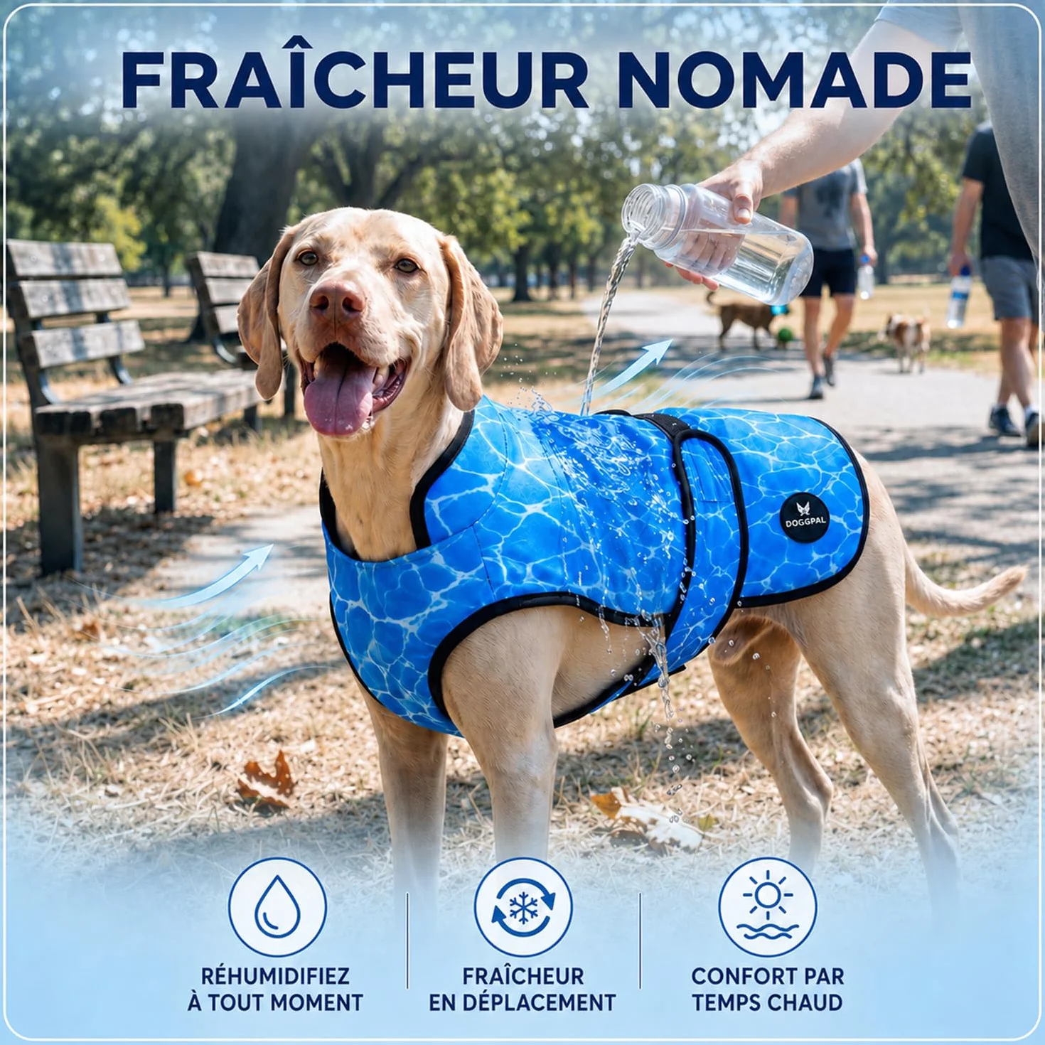DOGOPAL Gilet Rafraîchissant pour Chien Activé par l'Eau, Veste Réfrigérante avec Protection UV, Manteau d'Été Léger et Respirant à Col Haut (Bleu, XXL)