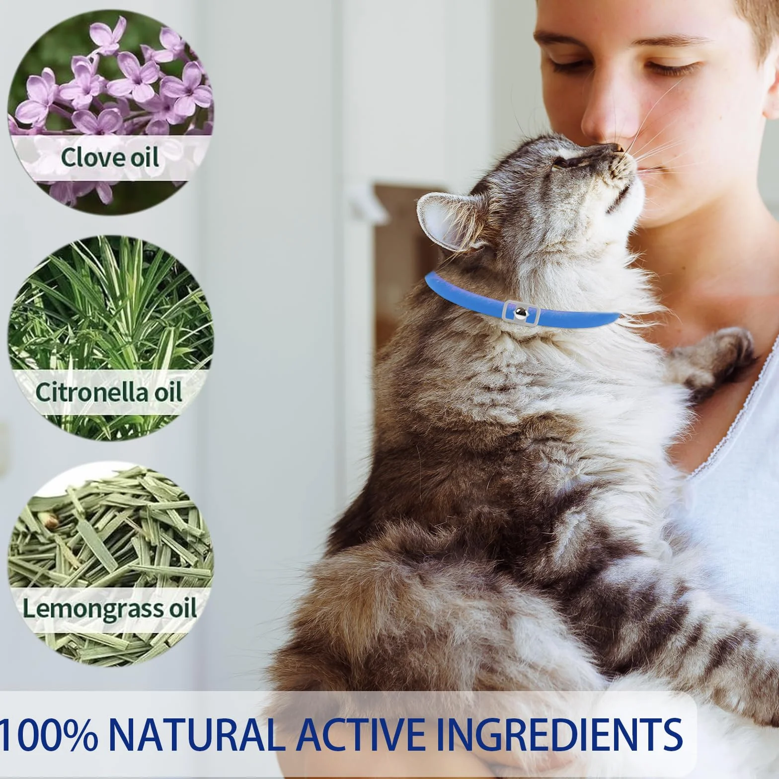 Collier Apaisant pour Chats 3 Pcs, Réglable Imperméable, Anti-Anxiété Naturel, 38cm (Violet)