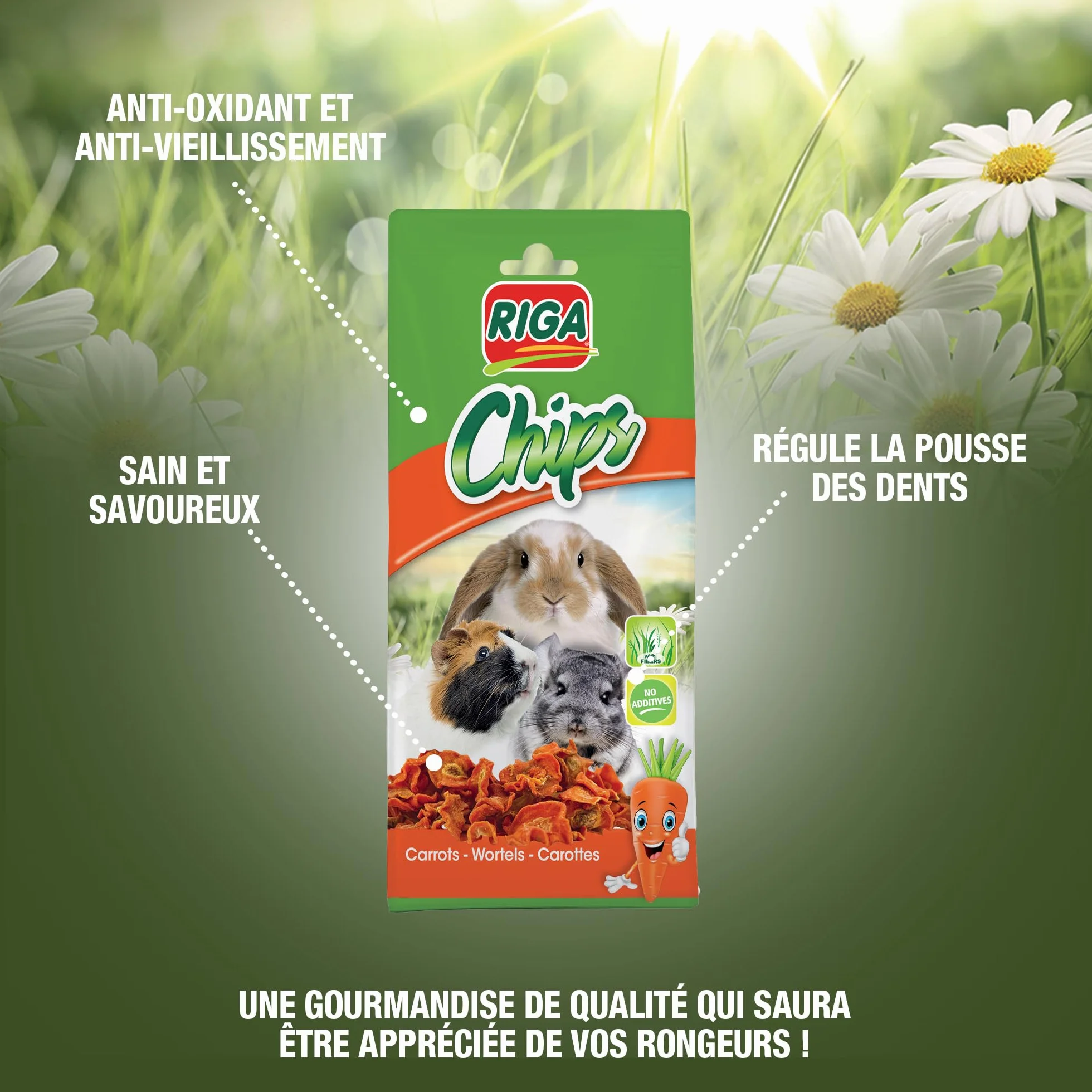 Riga Chips de Carotte Séchée Friandise Naturelle pour Rongeurs 50G