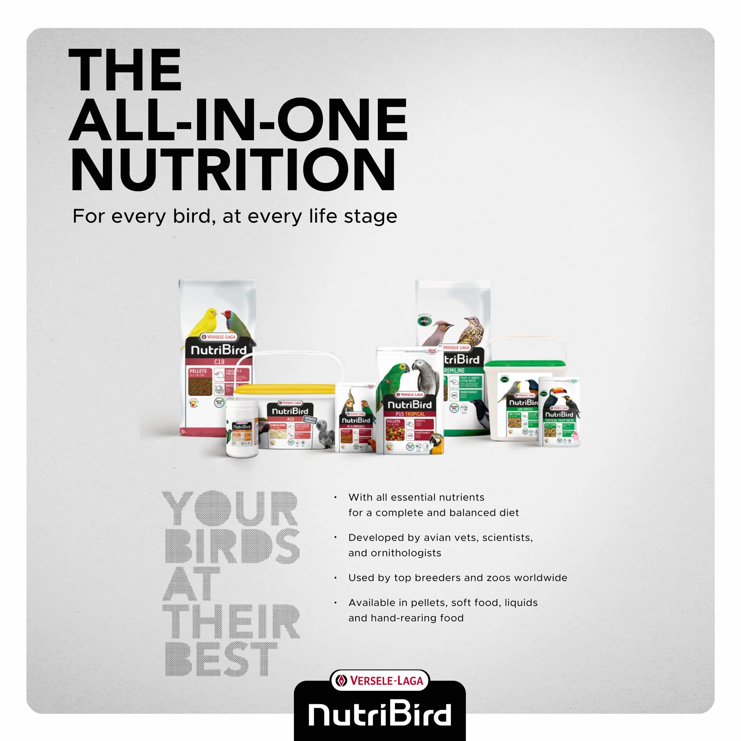 Nutribird A21 Elevage à la Main pour Oisillons Besoin élevé en Protéines 250gr