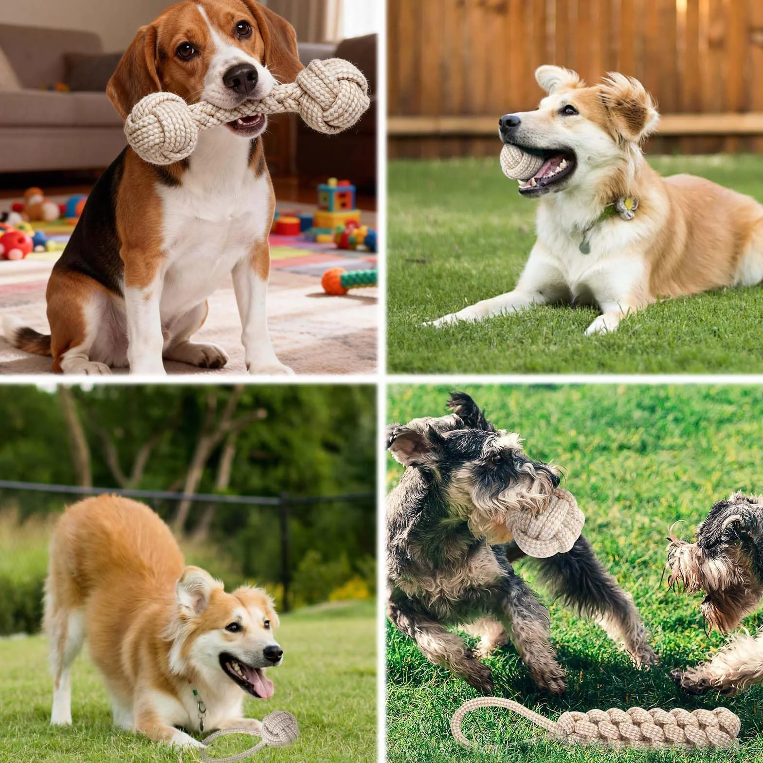 Jouet à mâcher en corde de coton pour chien, 6 pièces, interactif pour petits chiens