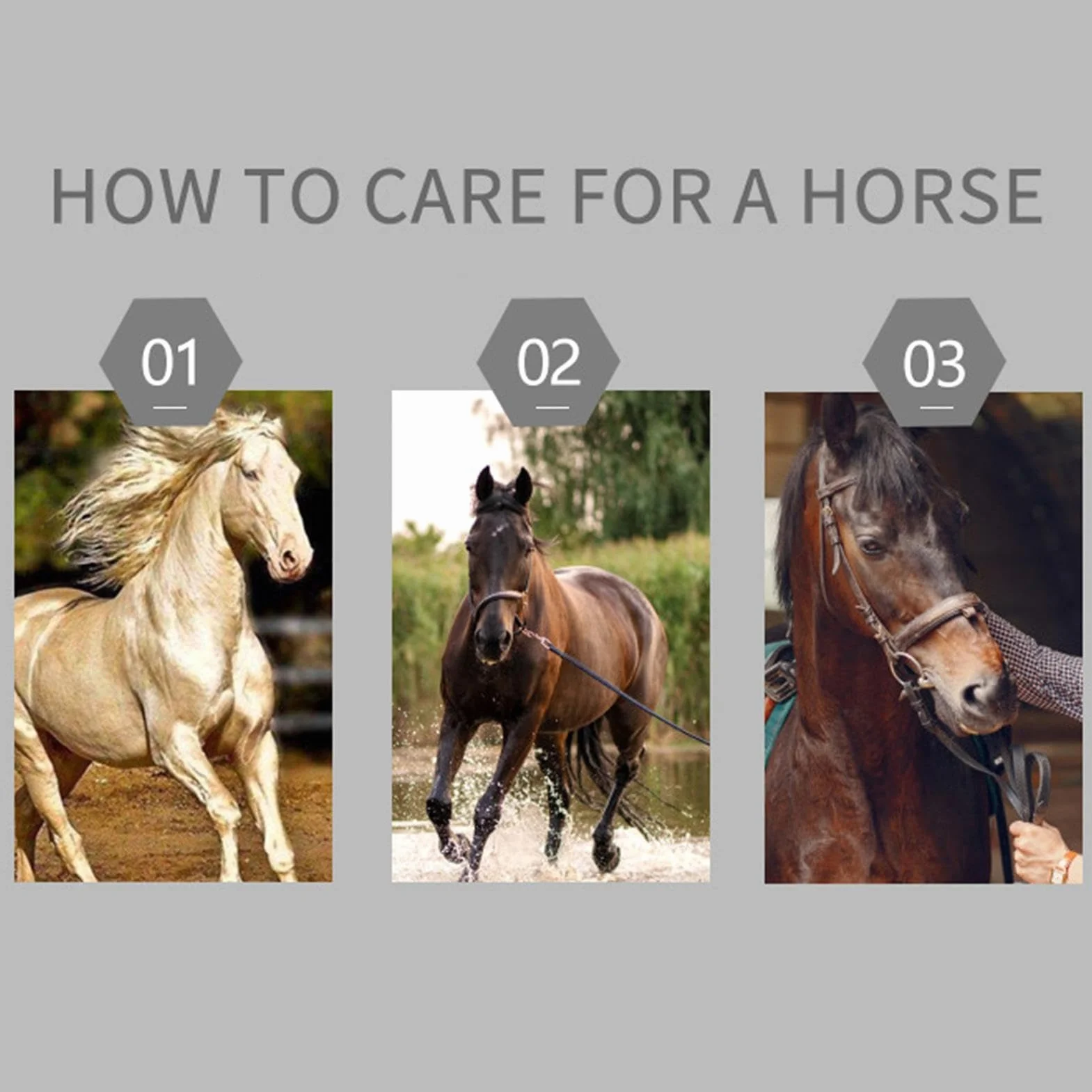 Brosses à cheval pour la mue en acier inoxydable avec manche en bois - Outil de délestage ergonomique