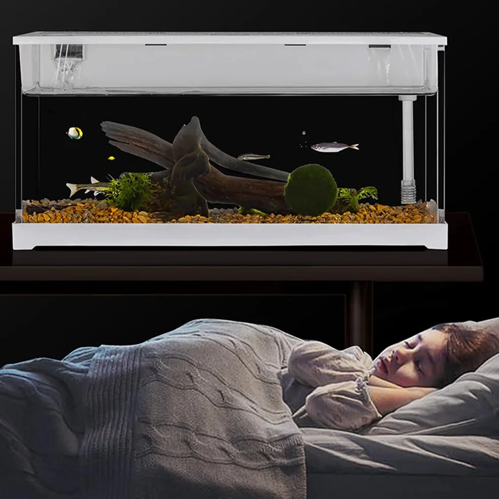 Réservoir aquarium rectangulaire acrylique transparent système filtration circulante pompe silencieuse