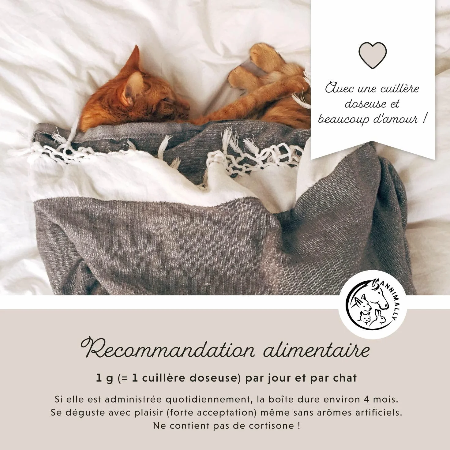 Annimally Poudre pour les Articulations pour Chats 120g – Complément Articulaire avec Moule Verte, MSM, Griffe du Diable, Taurine, Glucosamine