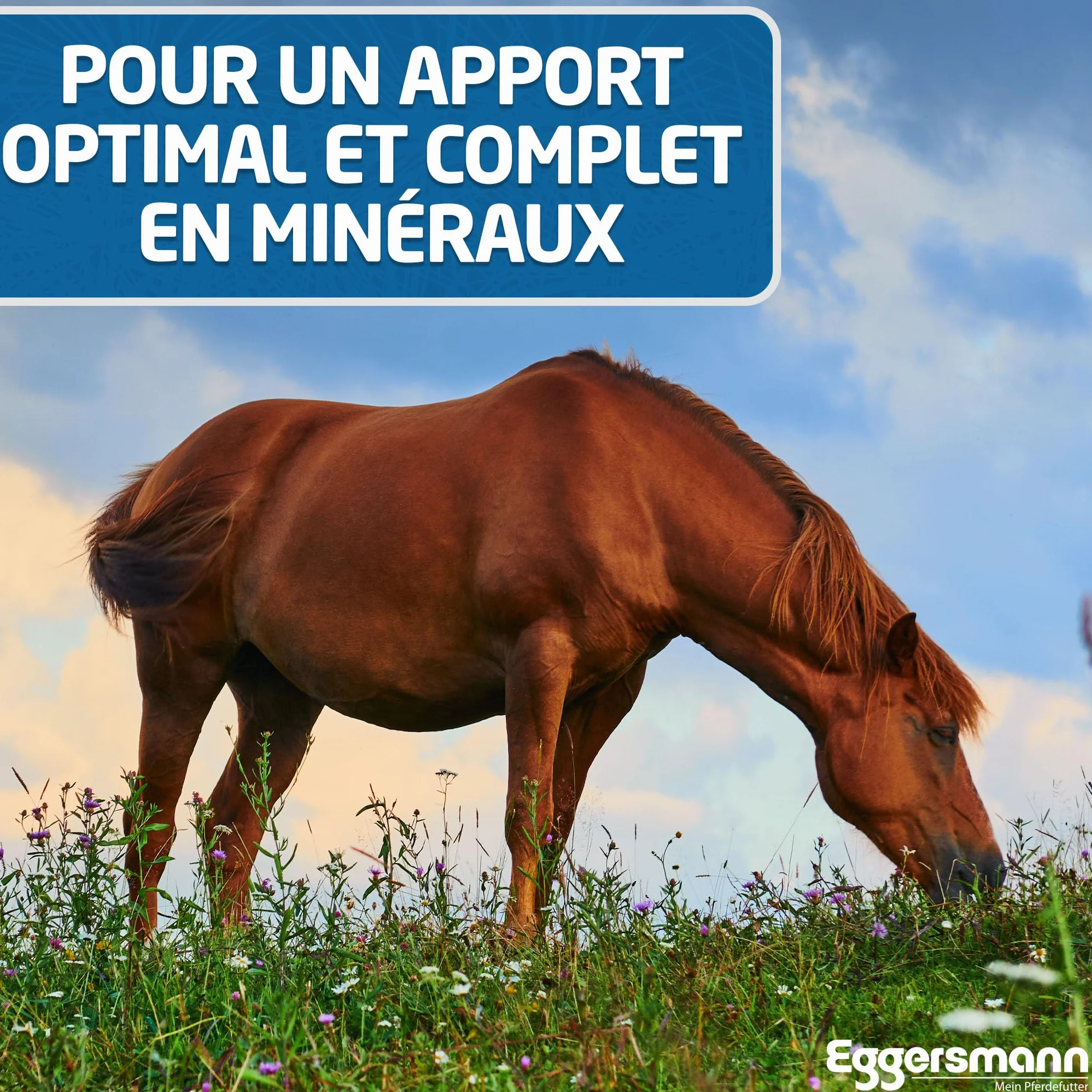 Eggersmann Golden Mineral Aliment minéral pour Chevaux et poneys 25 kg
