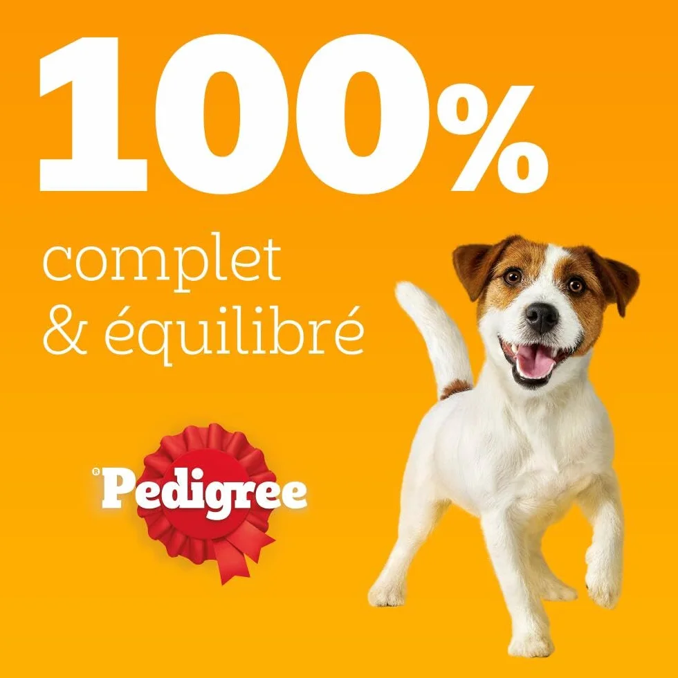 PEDIGREE Sachets fraîcheur en Sauce Sélection Mixte 4 variétés pour Chien Adulte 84x100g
