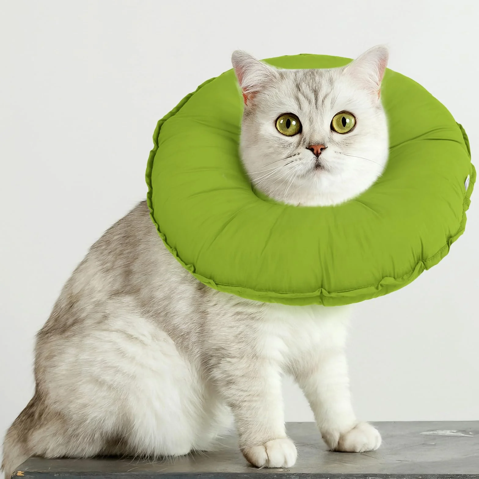 Élisabeth Collier Cône de Récupération Anti Lechage Anti Grattage pour Chat Donuts Vert M
