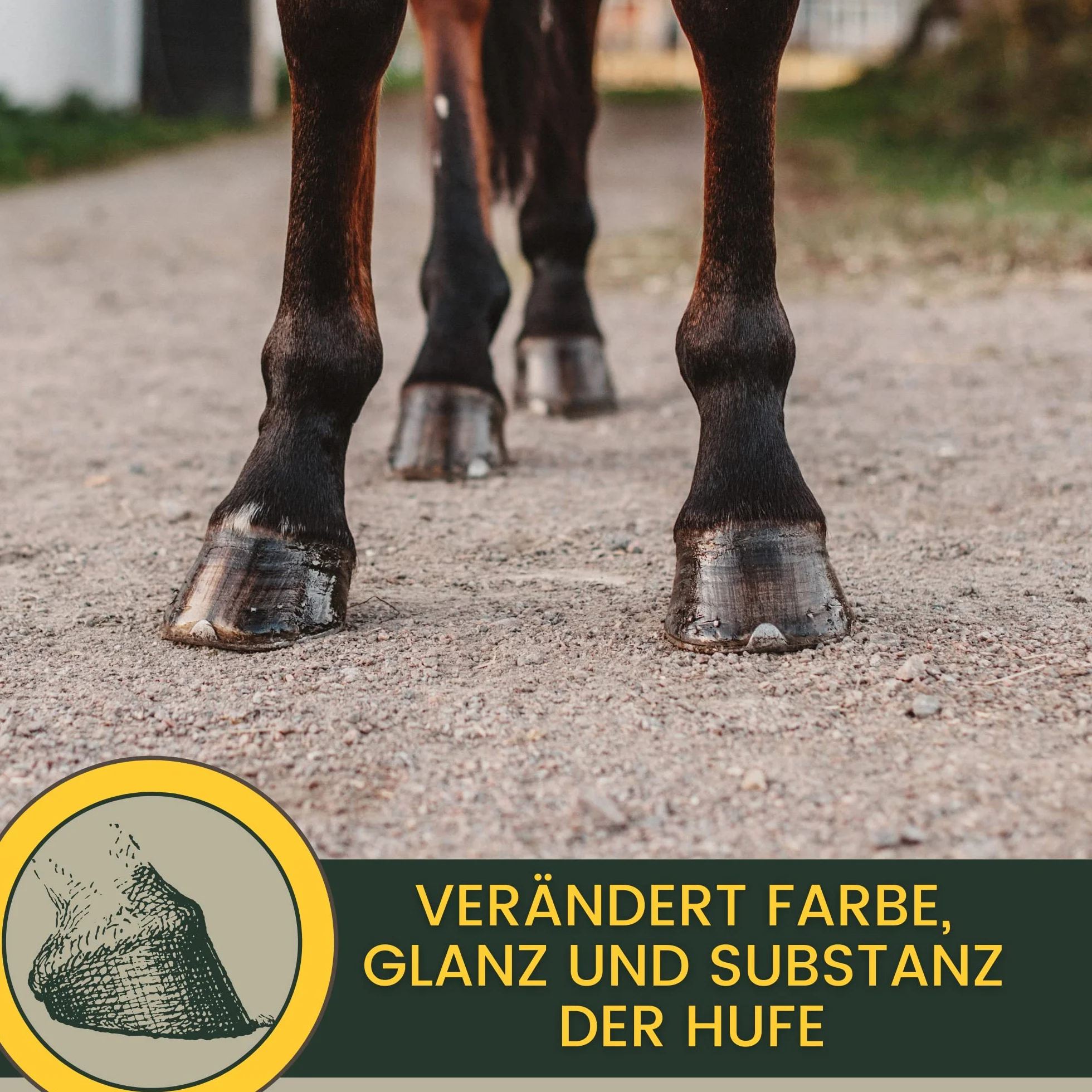 Huile pour sabots chevaux 480ML Baume pour sabots Graisse Soin des sabots & fourchette Pommade Flacon pinceau croissance rapide