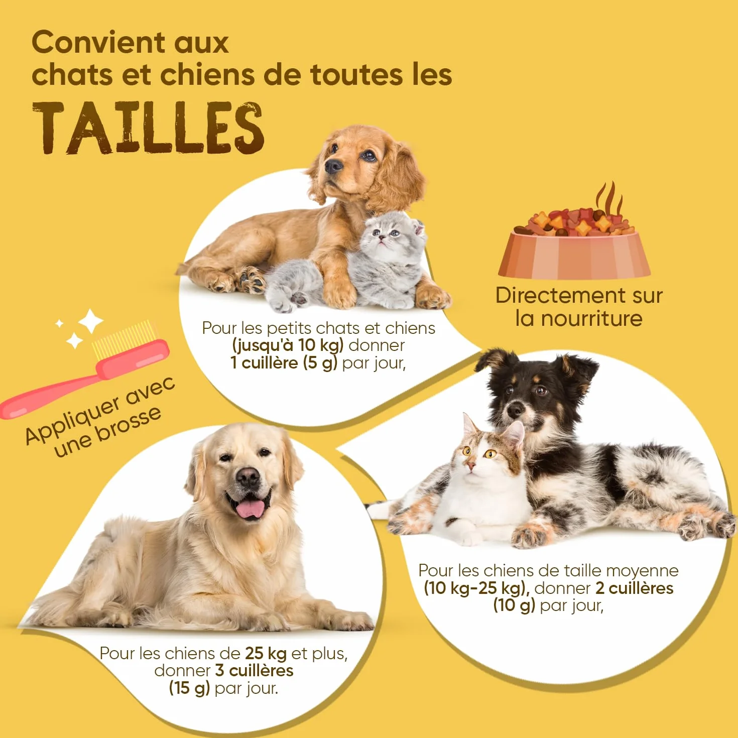 Poudre Soin Dentaire Chien et Chat 350g - Algues Varech Anti Tartre, Plaque Dentaire & Mauvaise Haleine Chien - Nettoyage des Dents Détartrage Efficace À La Menthe Poivrée - Hygiène Bucco-Dentaire