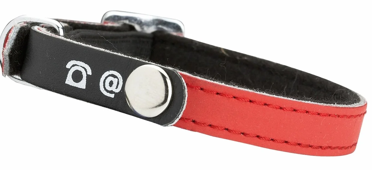 Collier Chat réfléchissant Simili Cuir Personnalisable Rouge 30x1 CM Anti-étranglement réglable