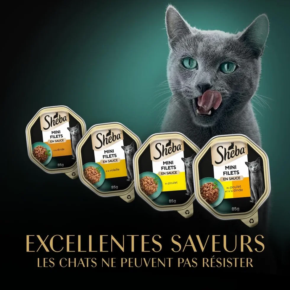 SHEBA Mini Filets en Sauce Sélection à la Volaille barquettes pour Chat Adulte 4 variétés Mega Pack 32x85g