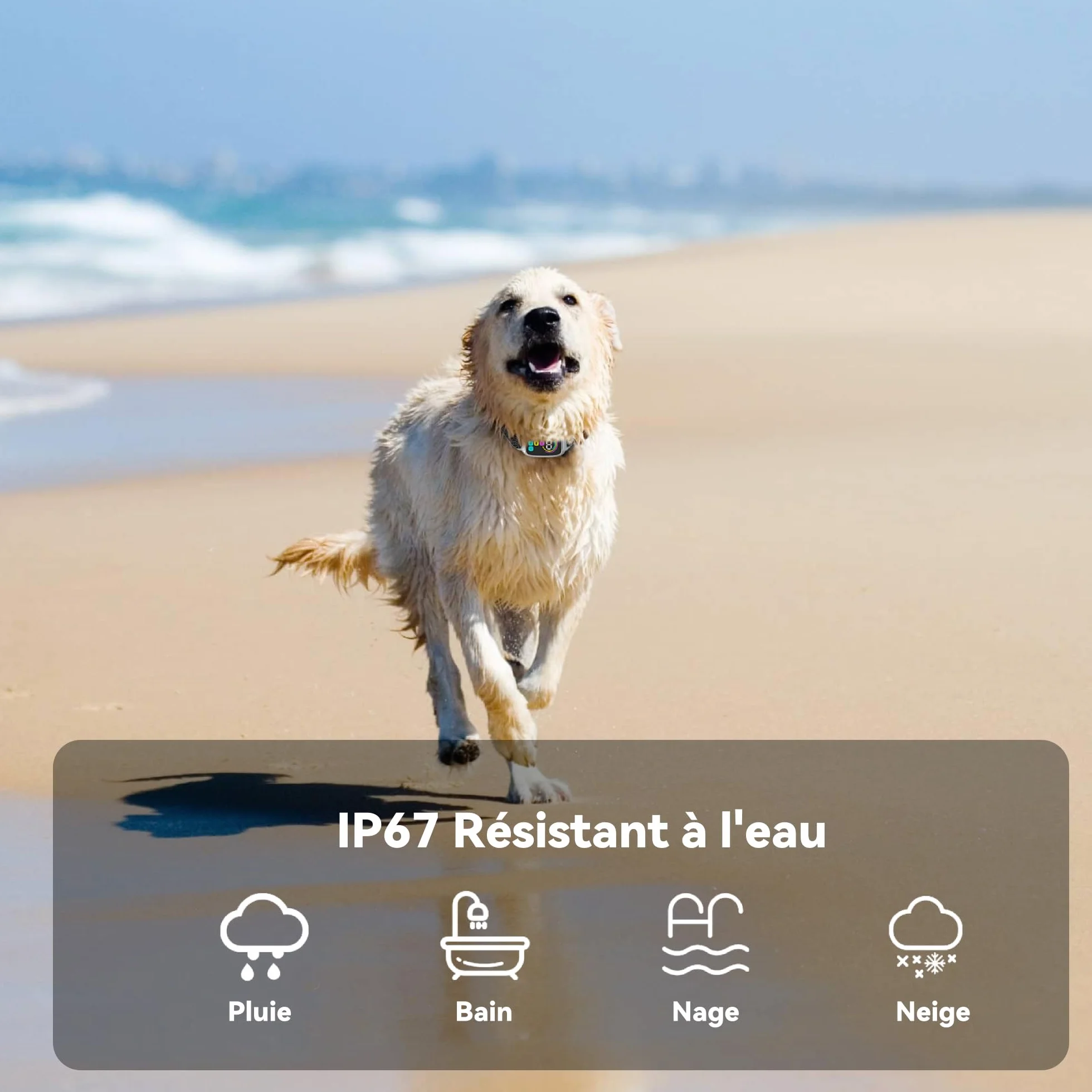 Meloive Collier Anti Aboiement Chien Conformes à La Nouvelle Loi 2025 Détection Intelligente 4 Modes Rechargeable Blanc