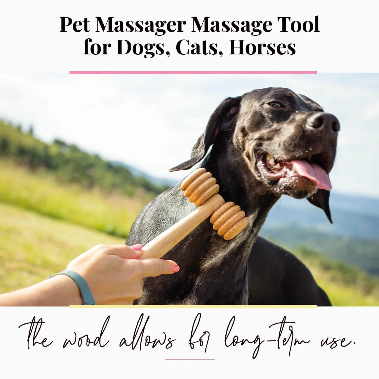 Masseur en Bois pour Animaux Rouleau de Massage Chien Chat Cheval Brosse Poils Courts Longs