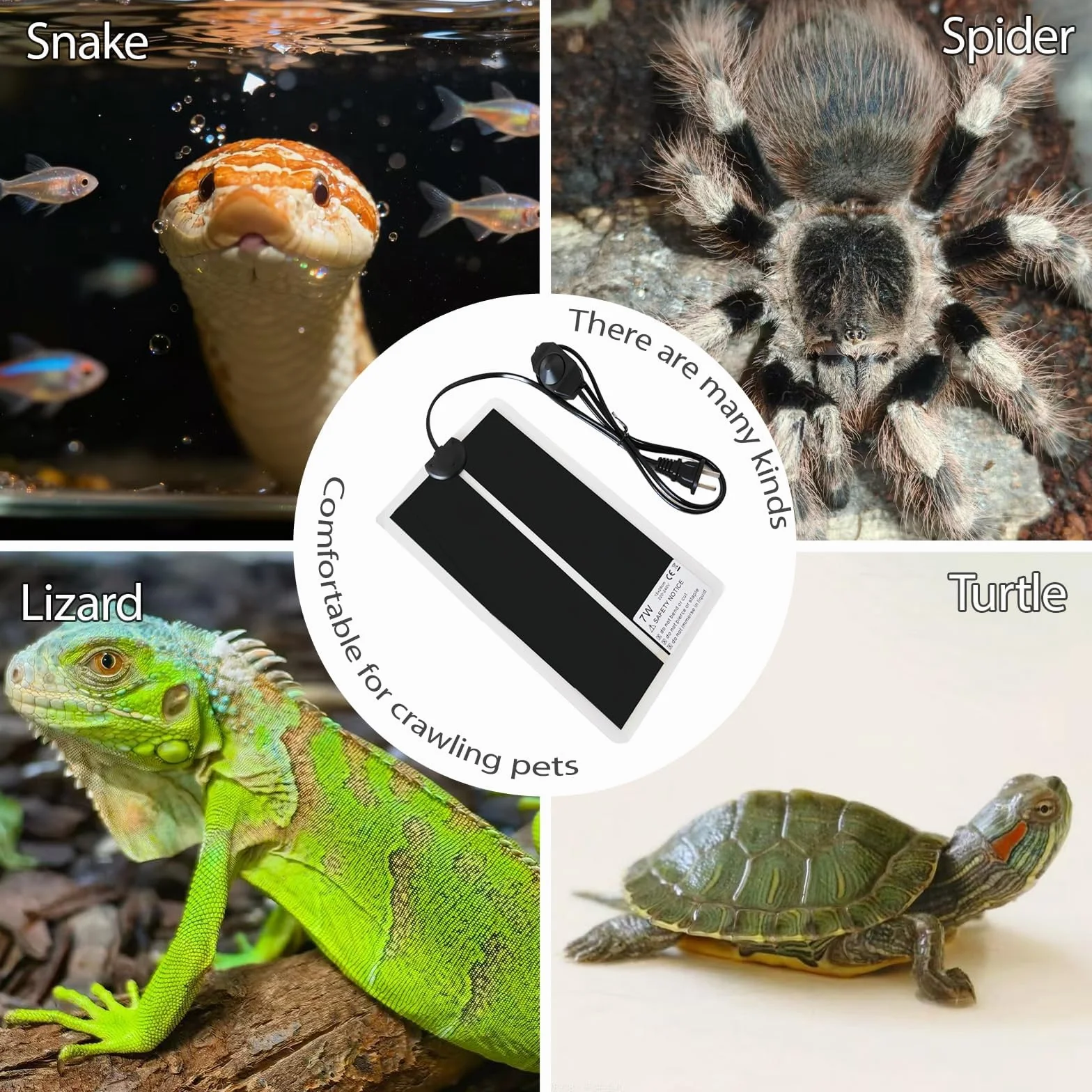 Tapis Chauffant pour Terrarium 15x28 cm Réglable 0-35°C Reptiles Amphibiens 7W 220-240V