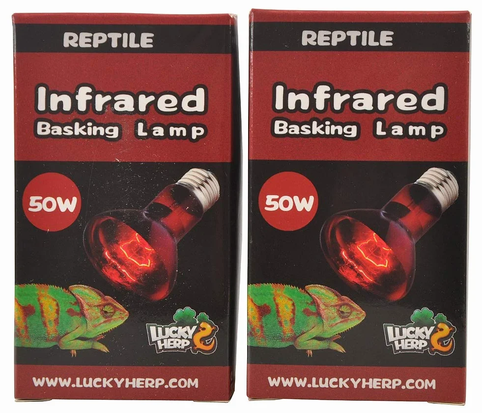 LUCKY HERP Lot de 2 ampoules chauffantes infrarouges pour reptiles E27 50 W