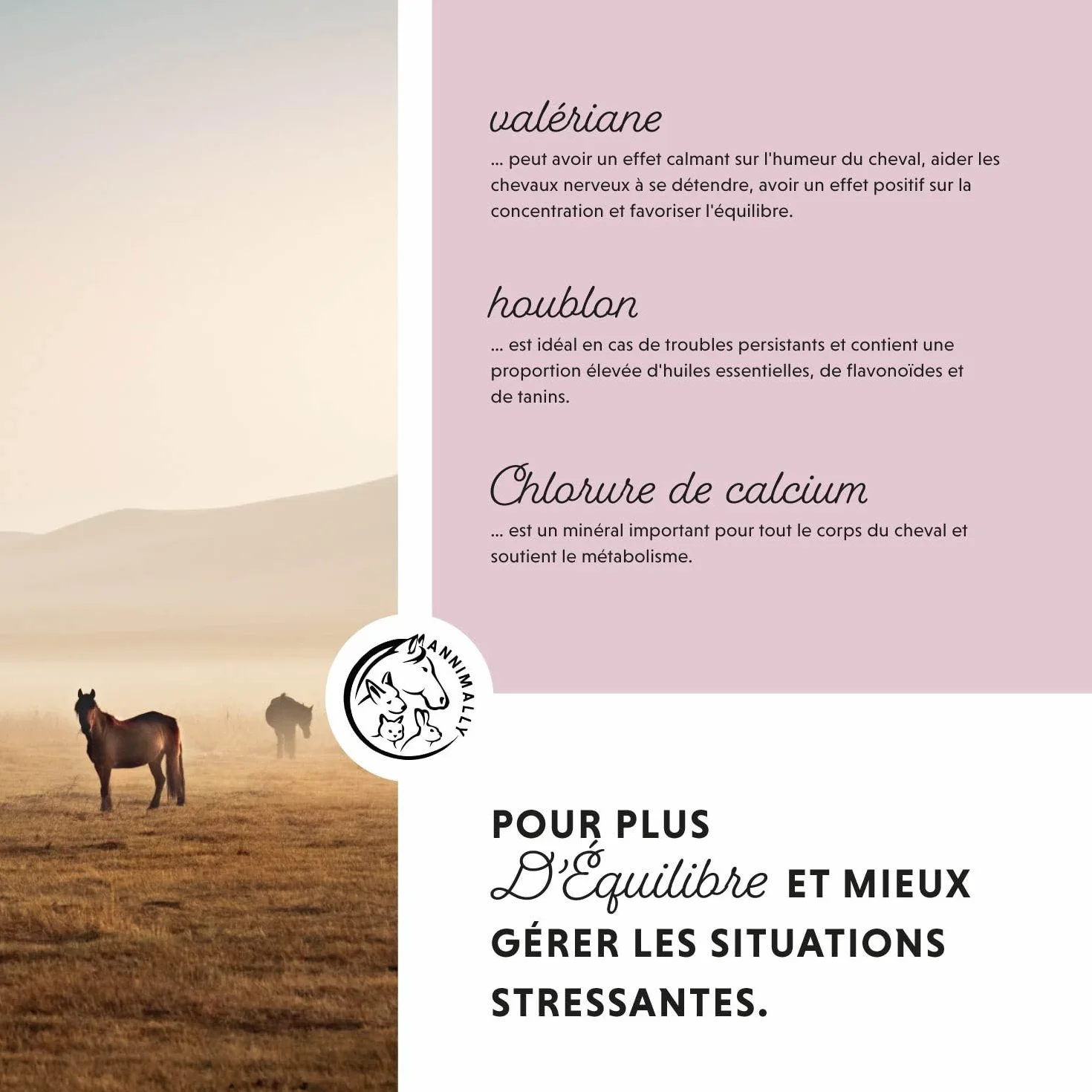 Relax Liquid pour Chevaux 1000ml Sirop Apaisant avec Valériane, Houblon, Tryptophane, B12, Magnésium et Calcium Liquide